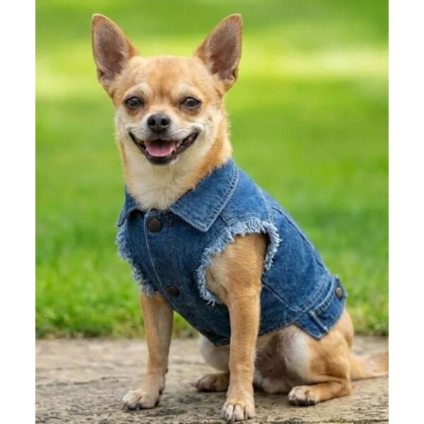 Dog’s denim jacket Thumbnail